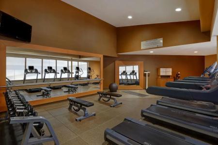 Embassy Suites by Hilton/ Fallsview - 25