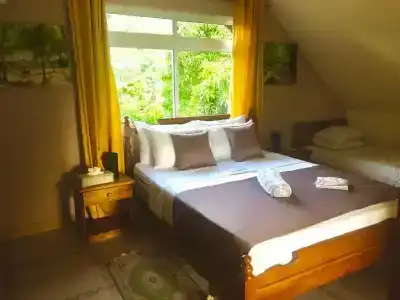 Mountain Lodge - 17