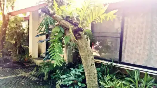 Baan Songjum - 37