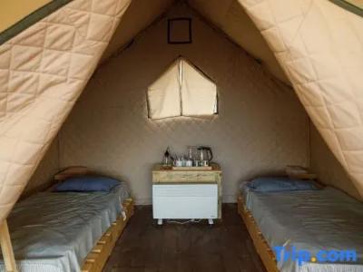 Charyn Canyon Camp - 50