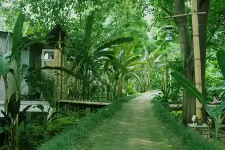 Pai Vimaan - 106