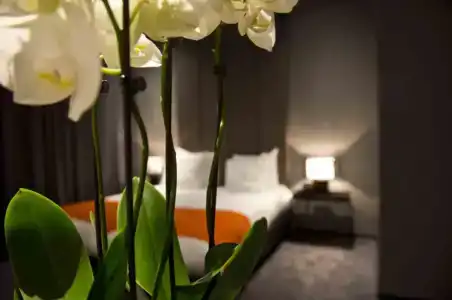 Design Glow - 43