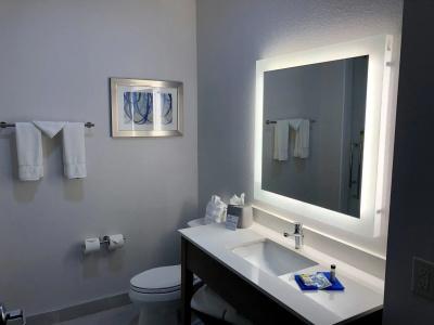 Holiday Inn Express & Suites - Houston Westchase - Westheimer, an IHG - 7
