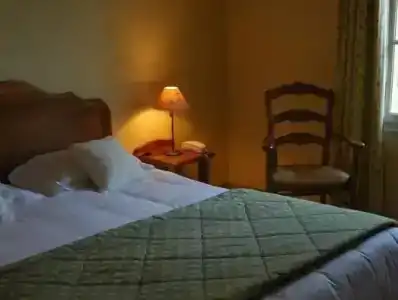 Hôtel La Bastide Saint Martin - 50