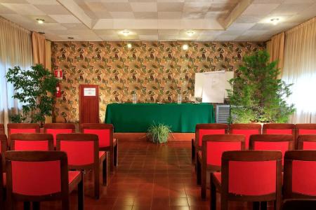 Conchiglia d'Oro - 17