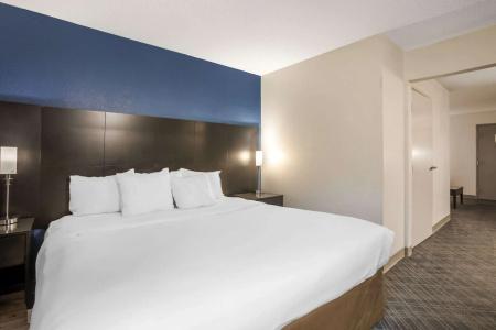 Comfort Suites Airport Nashville - 58