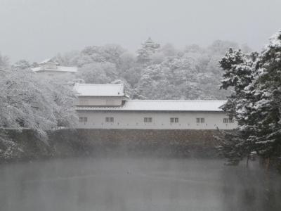 Apa Hikoneminami - 19