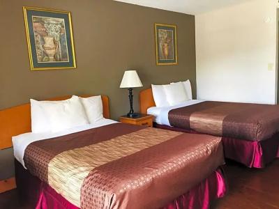 Bear Mount Inn & Suites - 17