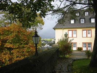 SchloßKurfürstliches Amtshaus Dauner Burg - 12