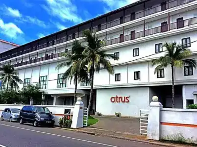 Citrus Hikkaduwa - 5