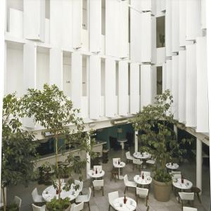 Condesa Df - 29