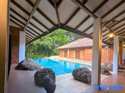 Pinthaliya Resort & Spa - 49