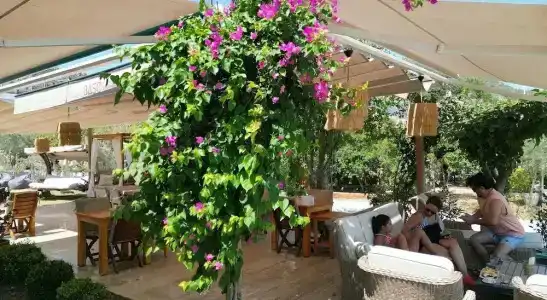 Base Selimiye - 25