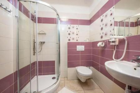 Pension Vila Mery - 64