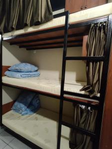 Магония - 101