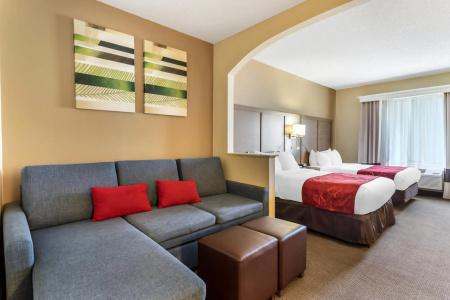 Comfort Suites Bush Intercontinental Airport - 6