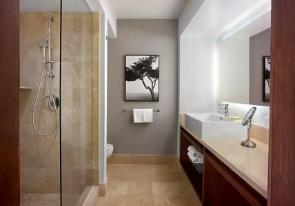 Hyatt Regency and Spa - 51