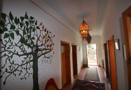 Kose Pension - 11