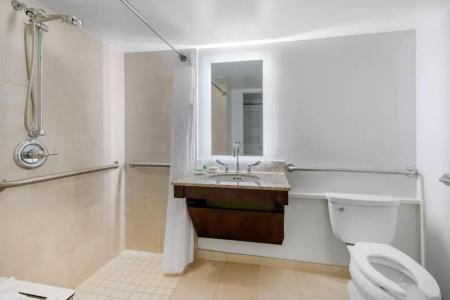 Holiday Inn Orlando – Disney Springs™ Area, An Ihg - 59