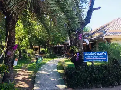 Grand Amazon - 5