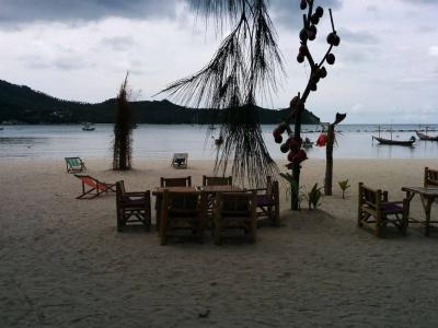 Dolphin Bungalows - 5