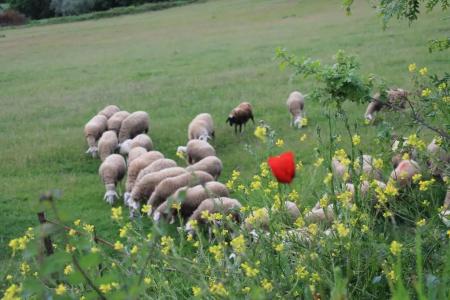 Agriturismo Cantagalli - 47
