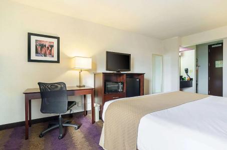 Quality Inn West End - 31