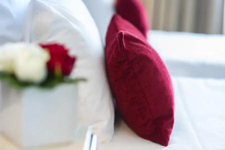 Mercure Plaza Biarritz Centre - 67