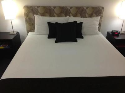 Best Western Cattle City Motor Inn - 84