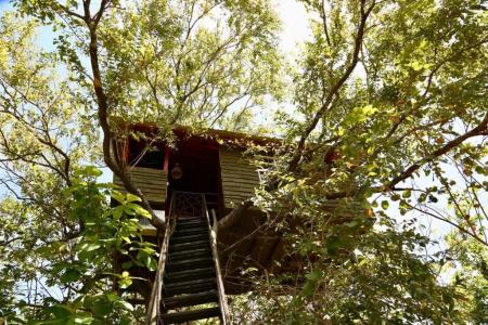 Pinthaliya Resort & Spa - 59
