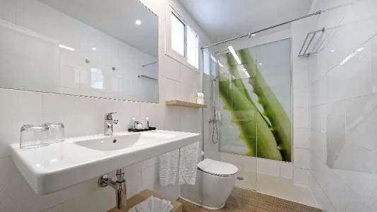 Aloe Canteras - 40