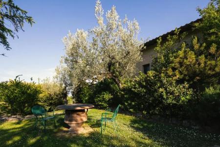 Il Poggio degli Olivi - 60