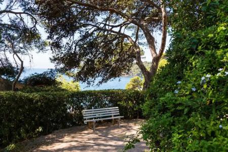 Provençal - 45