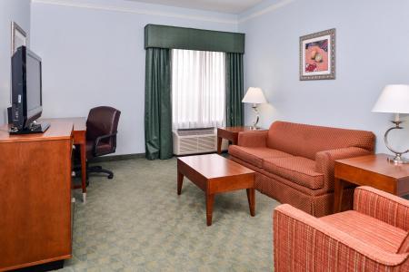 Holiday Inn Express North Telecom Park, An Ihg - 30