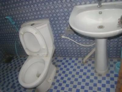 Alp Guest - 10