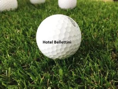 Bellettini - 21