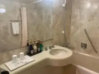 Royal Stay Sapporo - 41