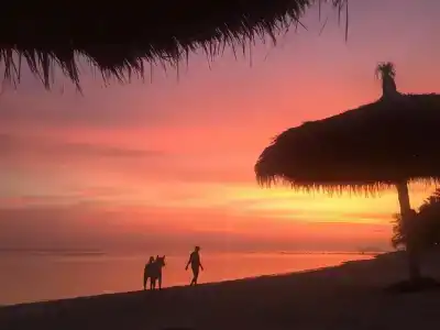 Sea Love Beach Bar & Bungalows - 9