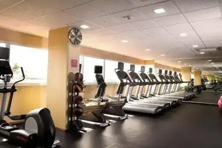 Four Points by Sheraton Queretaro Norte - 25