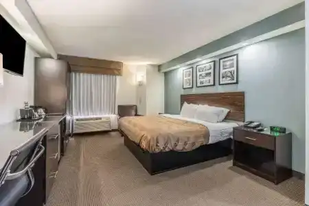 Quality Inn - 56