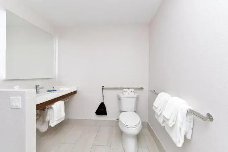 Holiday Inn Express Orlando - South Park, An Ihg - 5