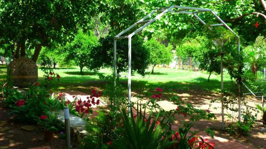 Simge Pension - 26