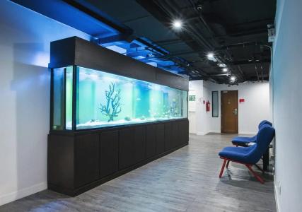 s Box Sukhumvit - Sha Extra Plus - 12