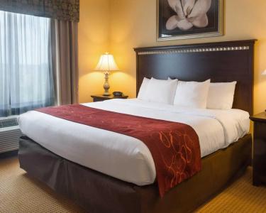 Comfort Suites North - 72