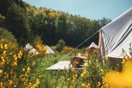 Daft & Glamping - 55