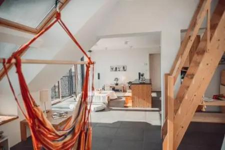 Eco Boutique Ams Beagle - 14