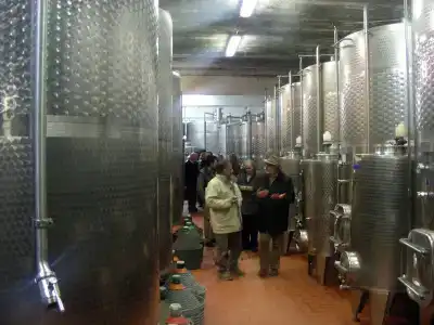 Tenuta Moriano - 17