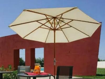 Albatros - 32