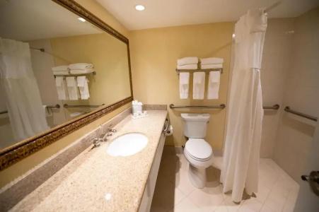 Holiday Inn Regency, An Ihg - 9