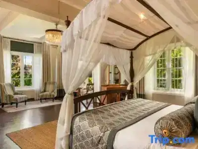 Castle Hill Bungalow - 66